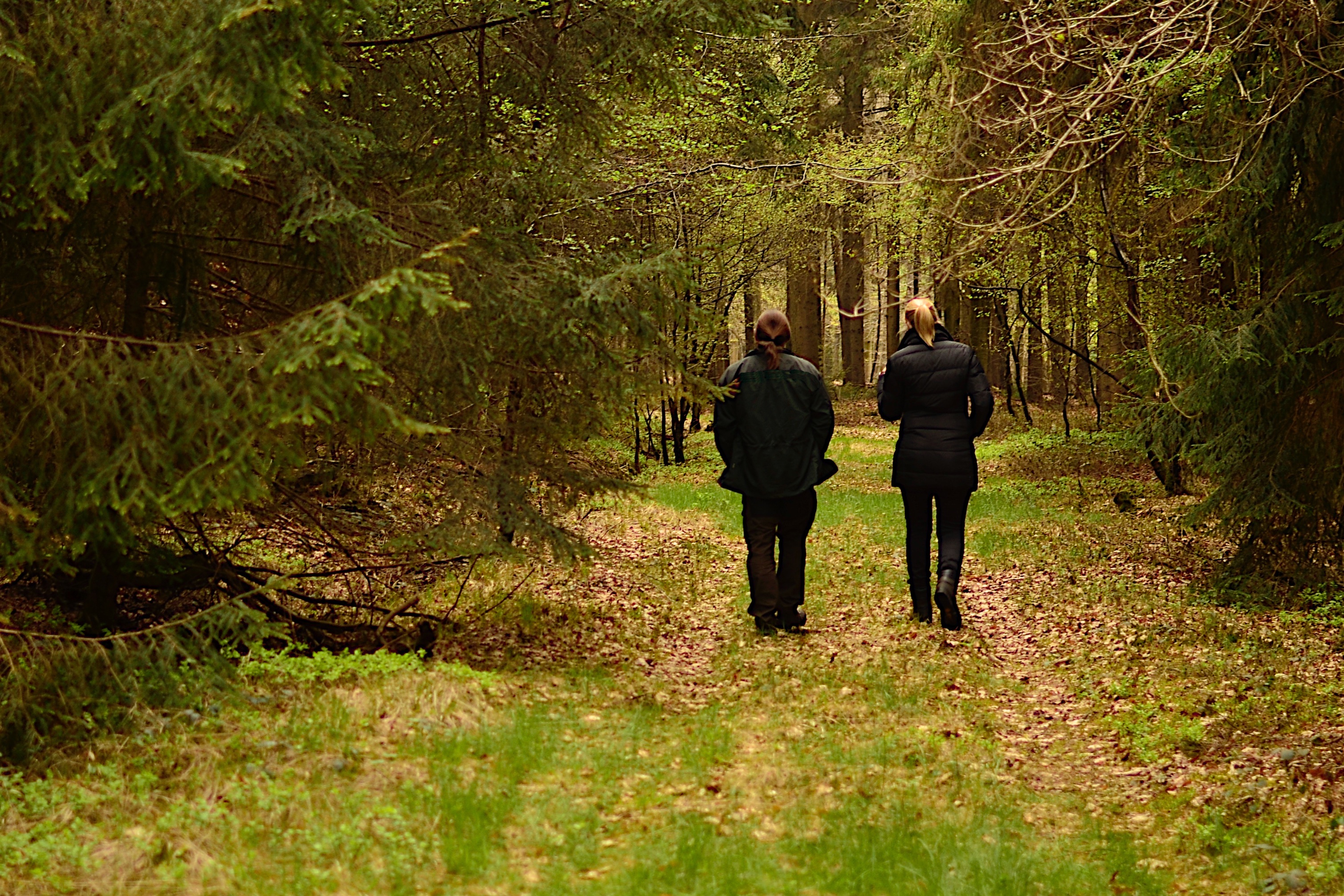 Waldspaziergang mit Frau Schulze-Föcking