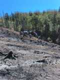 Waldbrand_2026_11