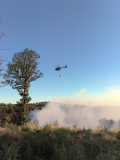 Waldbrand_2026_36
